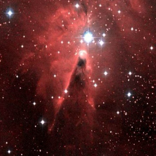 Starchild of the Cone Nebula