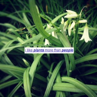 i like plants more than people