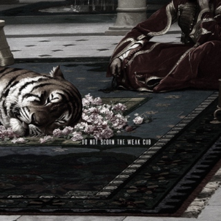 a brutal tiger --
