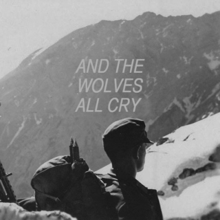 and the wolves all cry to fill the night