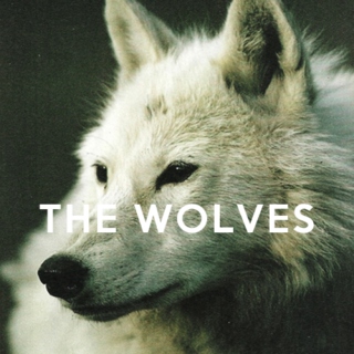 the wolves.