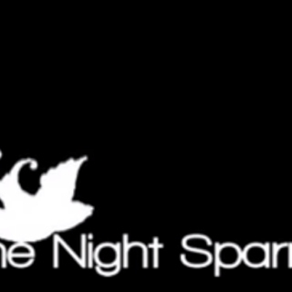 the night sparrow: one