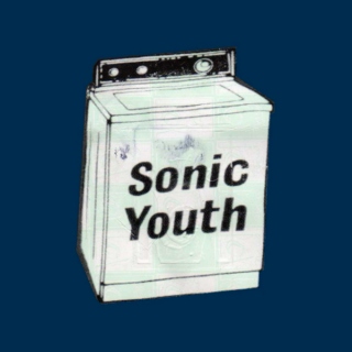 I Really Like Sonic Youth And I Really Want To Have Sex With You