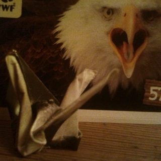 Crane vs. Eagle