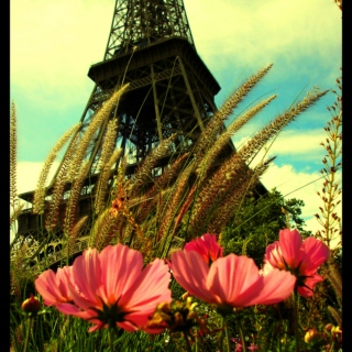 Dreaming Of Paris
