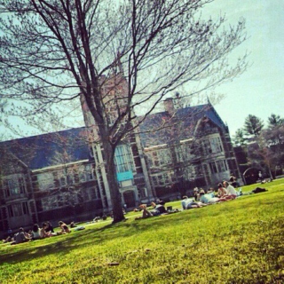 Study on the quad and enjoy the weather.