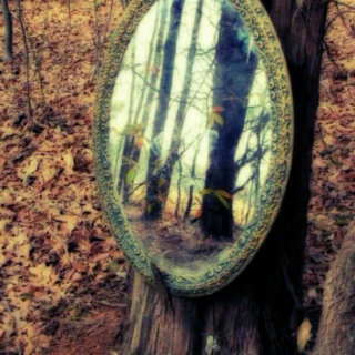 The Mirror of Wood
