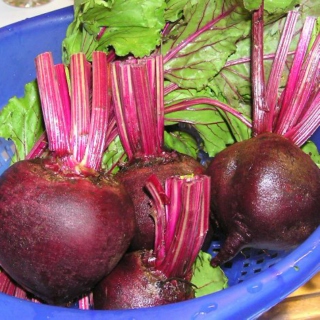My Beets Are Dirty