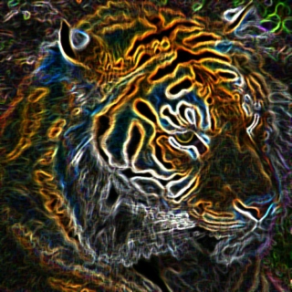 Psychedelic Tiger