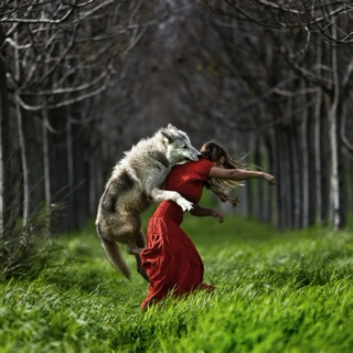 Wolf & I (Love Songs)