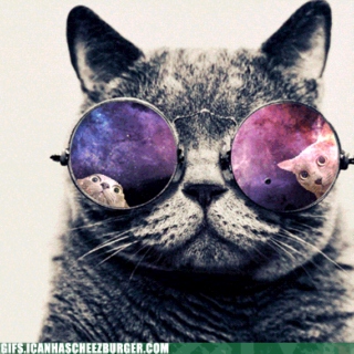 Cool Cats in Space