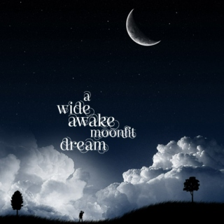 a wide awake moonlit dream