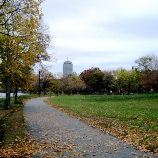 Boston In Autumn