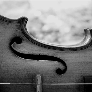 violins make everything better
