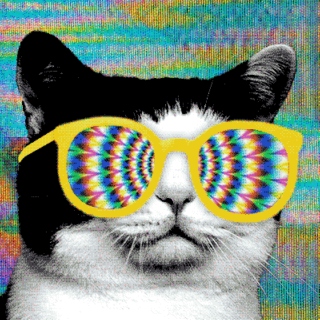 Dubstep, Remixes, and a Psychedelic Cat