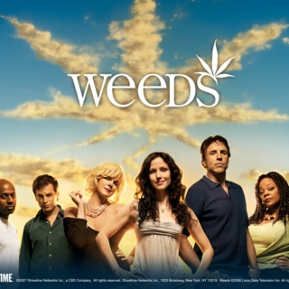 Weeds, The Best Show Ever