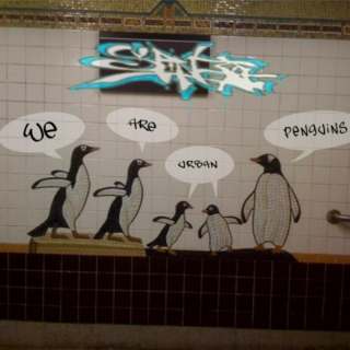 urban penguin mix