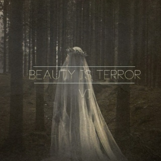 Beauty is Terror VI