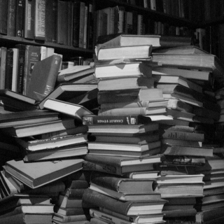 Climb the book pile and study.