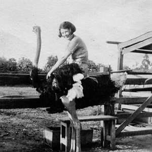 music for ostrich riding