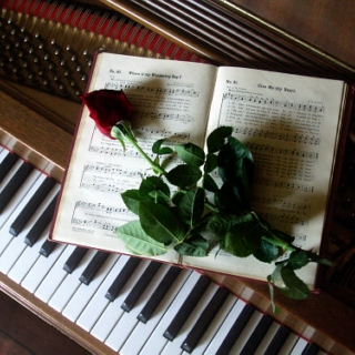Do You Love the Piano (As Much As) I Do?