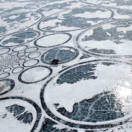 circles in the snow