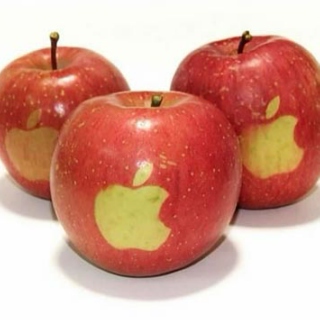 Granny Smith Apples vs. Macintosh Apples