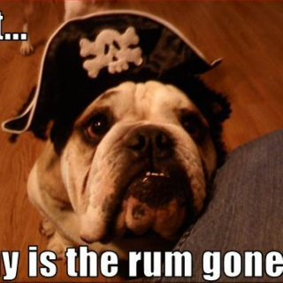 Why is the rum gone?