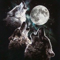 Songs of the Three Wolf Moon