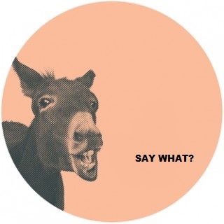 Say What?: an instrumental mix