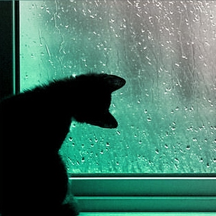 Rain Dances on my Window Pane