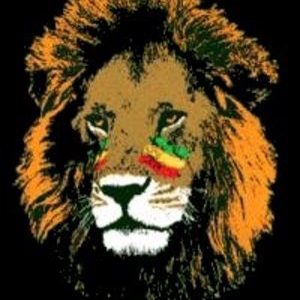who doesn't love reggae!!!!