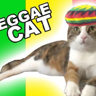I can has more reggae?