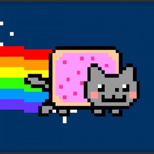 Nyan Cat Covers