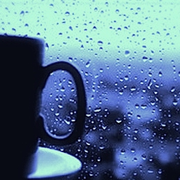 Rain, Sweaters, Tea. 