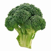 Steaming Broccoli 
