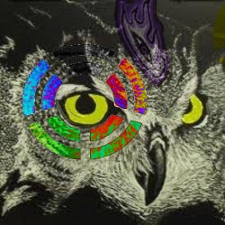 Owl Eyes: Night Cruiser