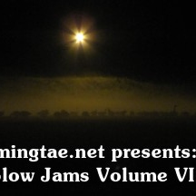 Slow Jams: Volume VII