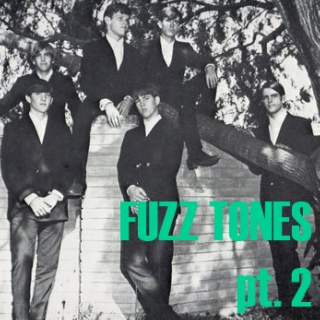 Fuzz Tones pt. 2