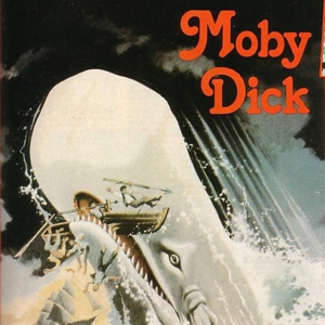 When Reading Moby Dick
