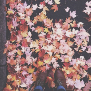Cover yourself in fall♡