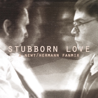 stubborn love
