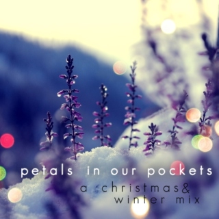 petals in our pockets