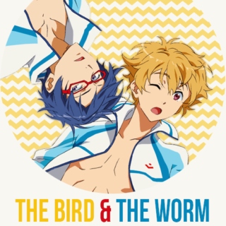bird and worm