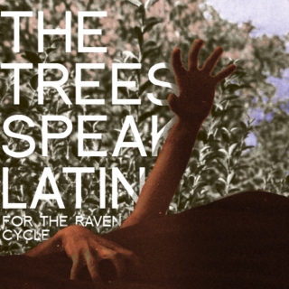 the trees speak latin