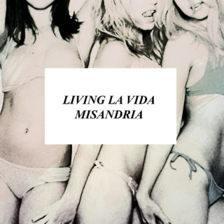 living la vida misandria | a mix for the ladies who have had enough