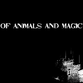 of animals and magic