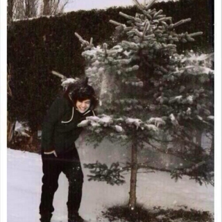 ❄Christmas with Harry❄