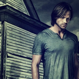falling in love with sam winchester