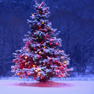 ❅ A Very Happy Christmas :) ☃